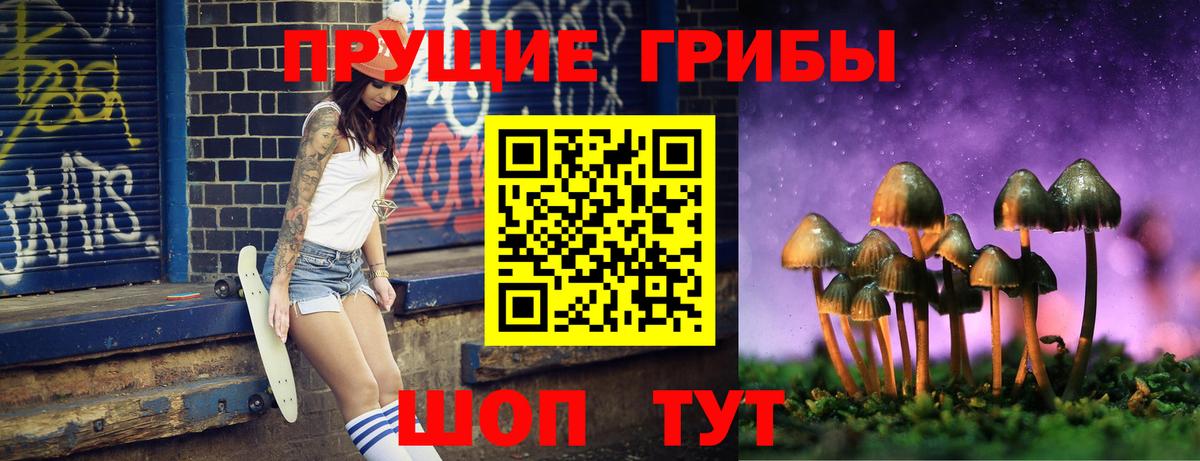 Галлюциногенные грибы MAGIC MUSHROOMS Вичуга
